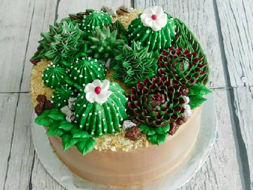 Succulent cake, la nueva tendencia en pastelería - Cocina