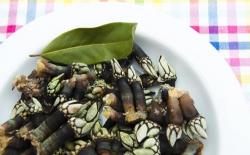 ¿Conoces los percebes?