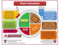 El esquema nutricional ideal