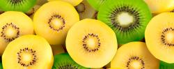 Todo sobre el kiwi: variedades y características